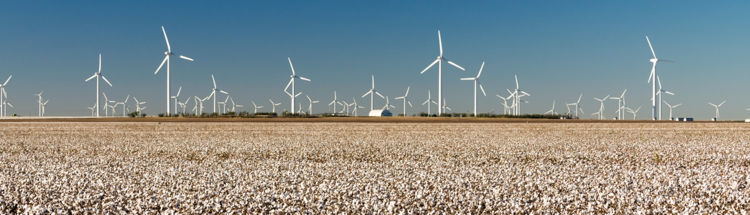 texas wind power