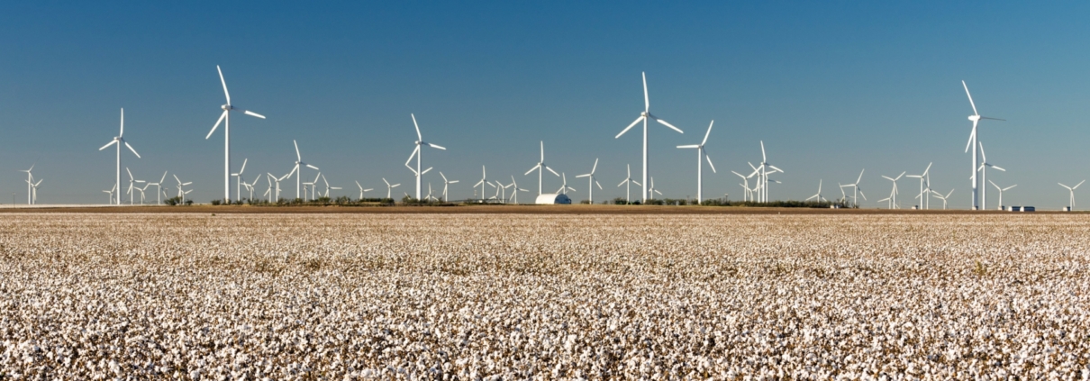 texas wind power