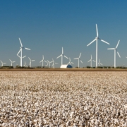 texas wind power