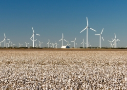 texas wind power