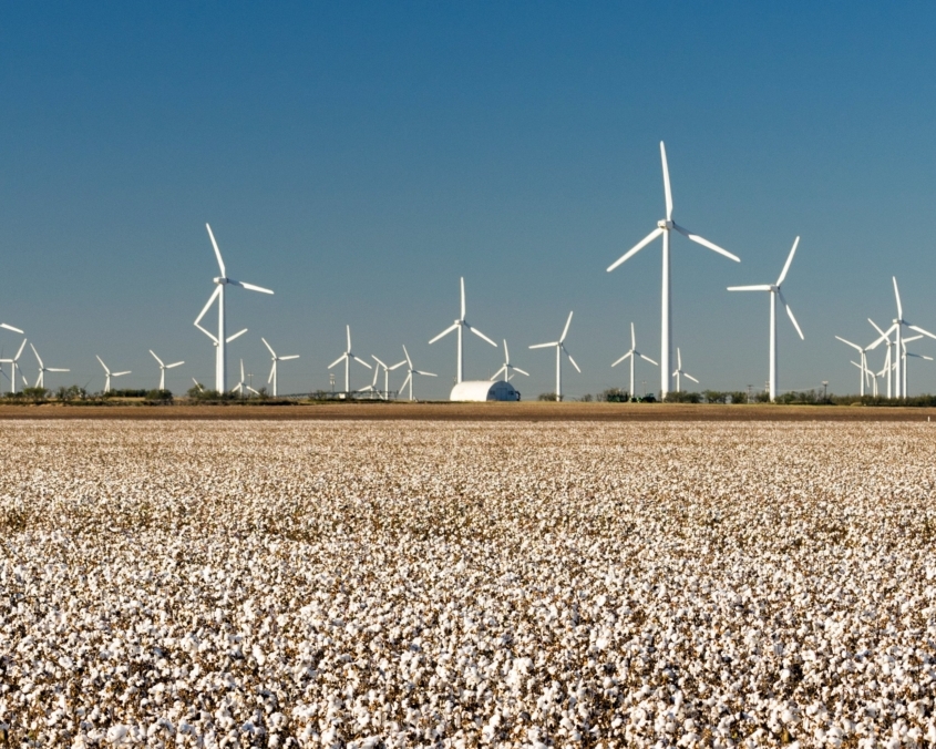 texas wind power