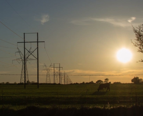 Predictions on Texas Electricity in the year 2020