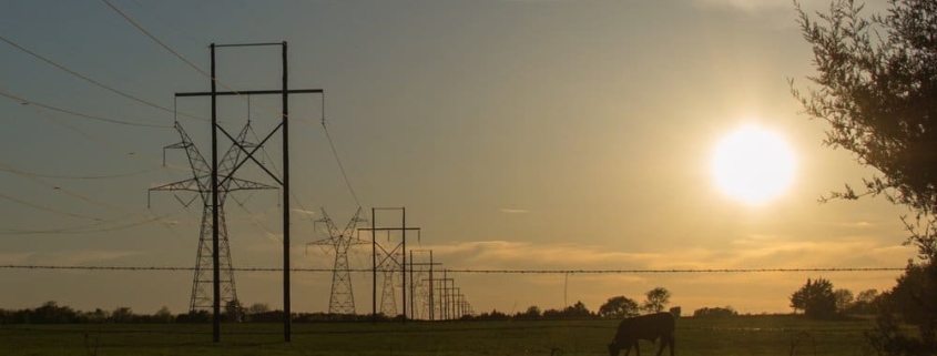 Predictions on Texas Electricity in the year 2020