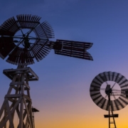 Wind Power and the Texas Grid in Summer 2020