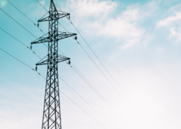 Learn about the companies and organizations who oversee the Texas electricity sector