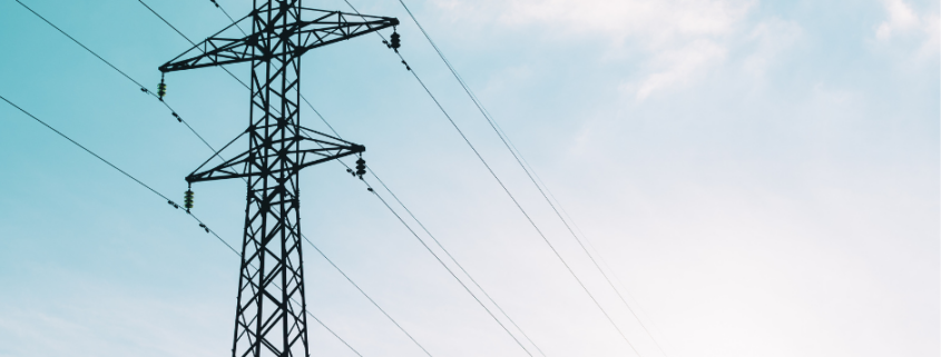Learn about the companies and organizations who oversee the Texas electricity sector