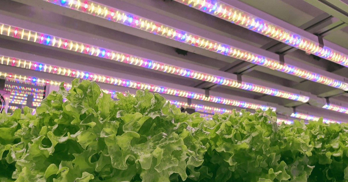 Energy Efficient Lighting for the Agriculture Sector