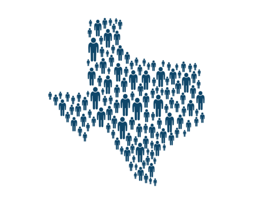 The Texas Power Grid