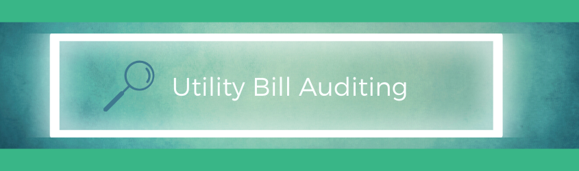Commercial Energy Services: Electric Utility Bill Audit 