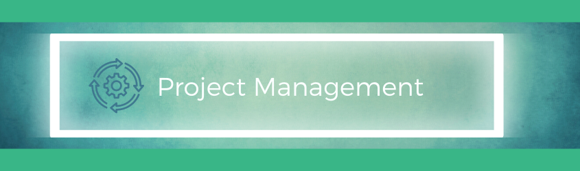 Commercial Energy Services: Project Management 