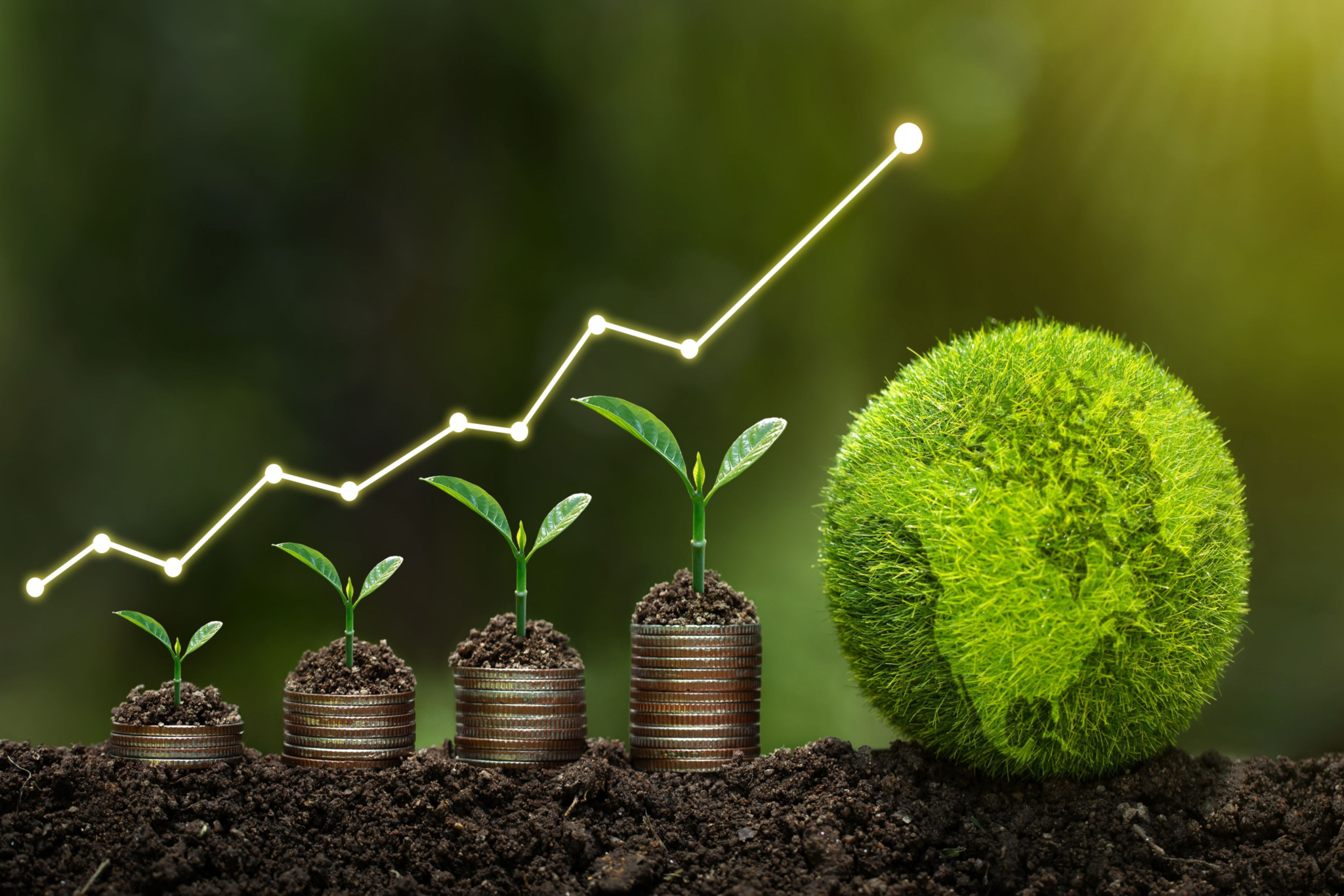 Energy Risk Management Financial Consultants