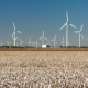 Lubbock Texas Leads the Way in Wind Energy Research and Technology
