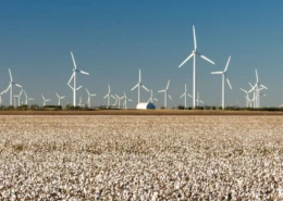 Lubbock Texas Leads the Way in Wind Energy Research and Technology